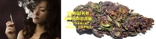 прущие крисы Козельск