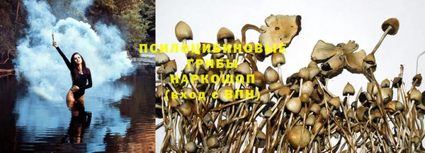 прущие крисы Козельск
