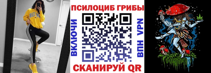 Псилоцибиновые грибы мицелий  Михайловка 