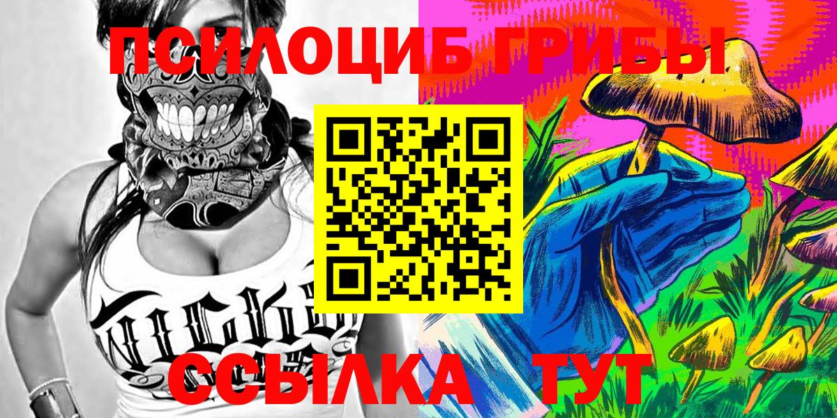 Михайловка  Галлюциногенные грибы Psilocybe  Вход с VPN 