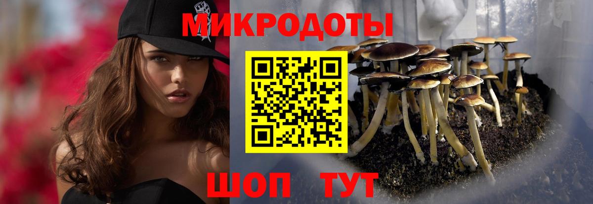 Галлюциногенные грибы прущие грибы Михайловка